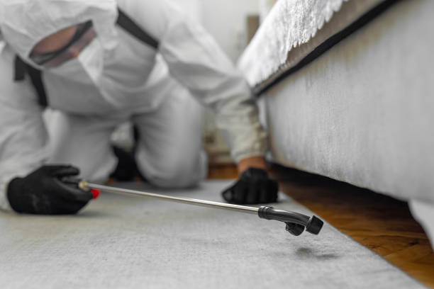 Professional Termite Control technician working in San Saba, TX