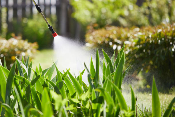 24/7 Emergency Termite Control experts in San Saba, TX