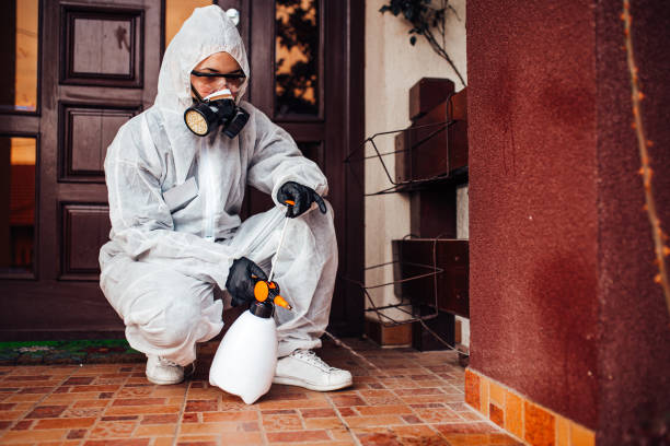 Reliable Termite Control contractor in San Saba, TX by Nex Pest Control